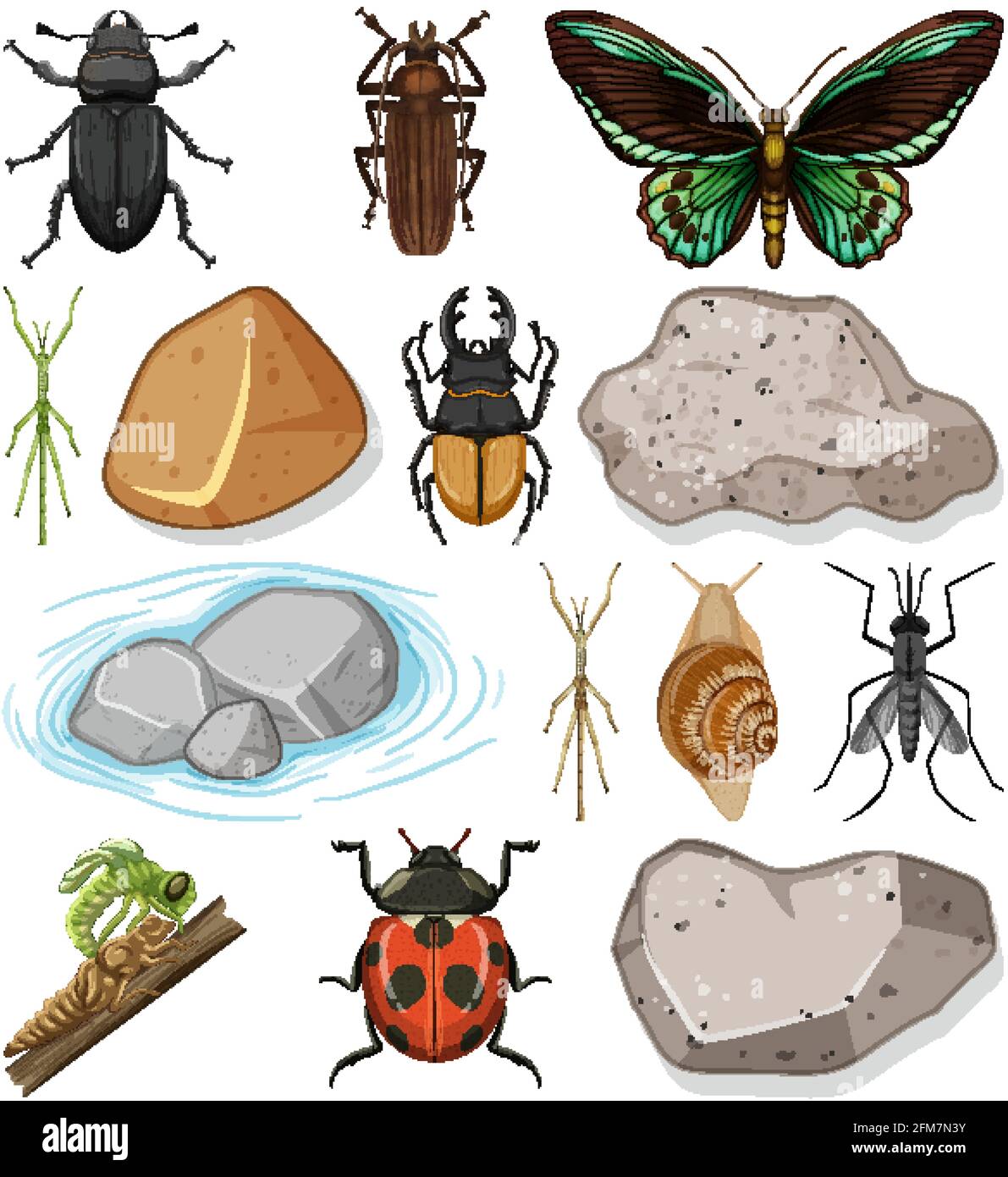 Different types of insect with nature elements illustration Stock ...