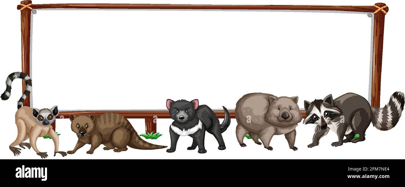 Empty banner with wild animals on white background illustration Stock ...