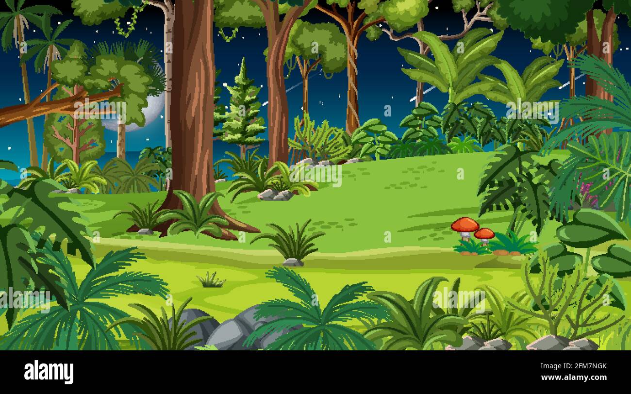 Forest landscape scene at night with many different trees illustration ...