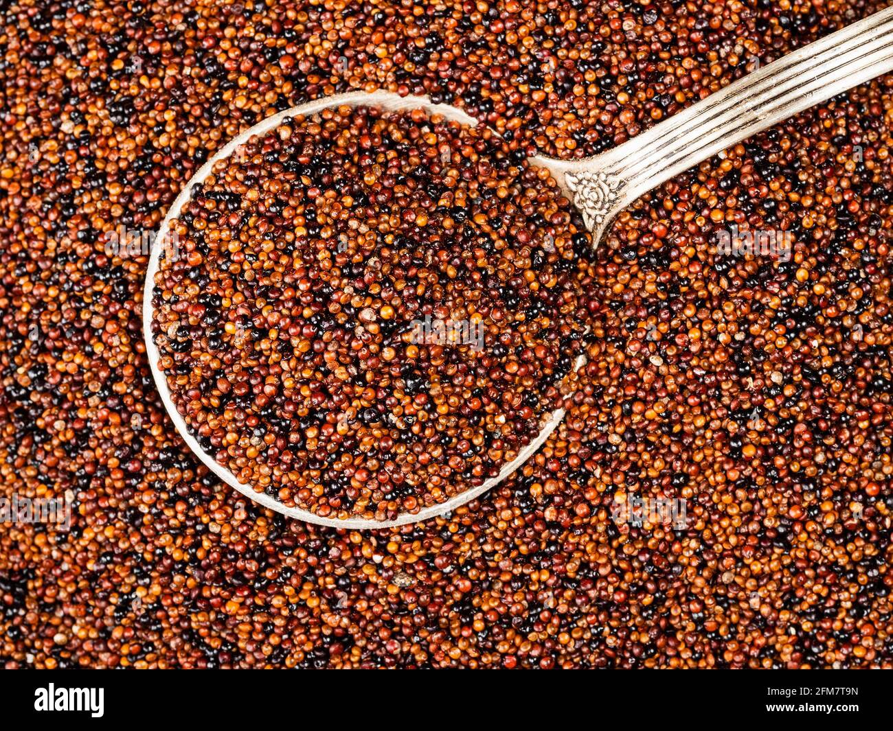 top view of silver tablespoon in canihua seeds closeup Stock Photo