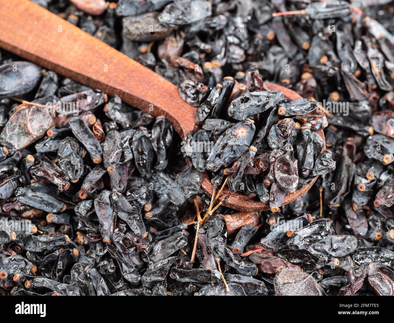 wooden spoon on pile of dried black Berberis fruits closeup Stock Photo