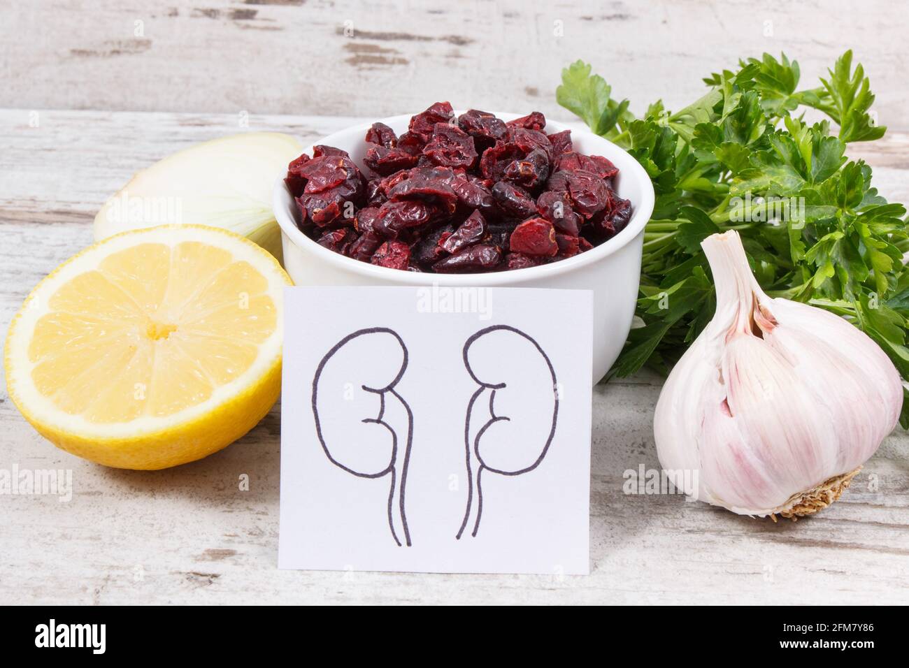 Drawing of kidneys and healthy eating as source natural vitamins and