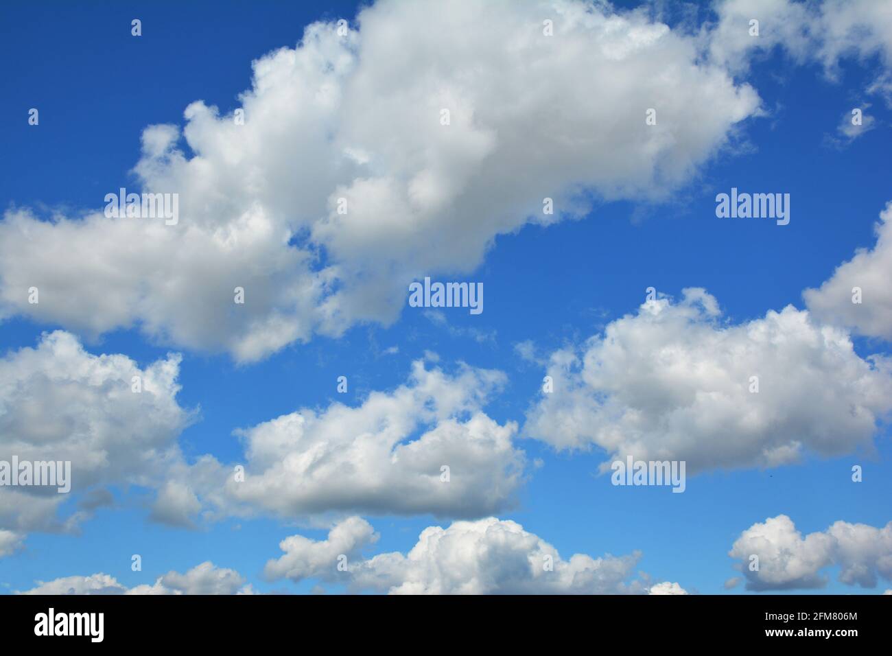 The blue sky with white clouds background.  White cumulus clouds in a blue sky. Stock Photo