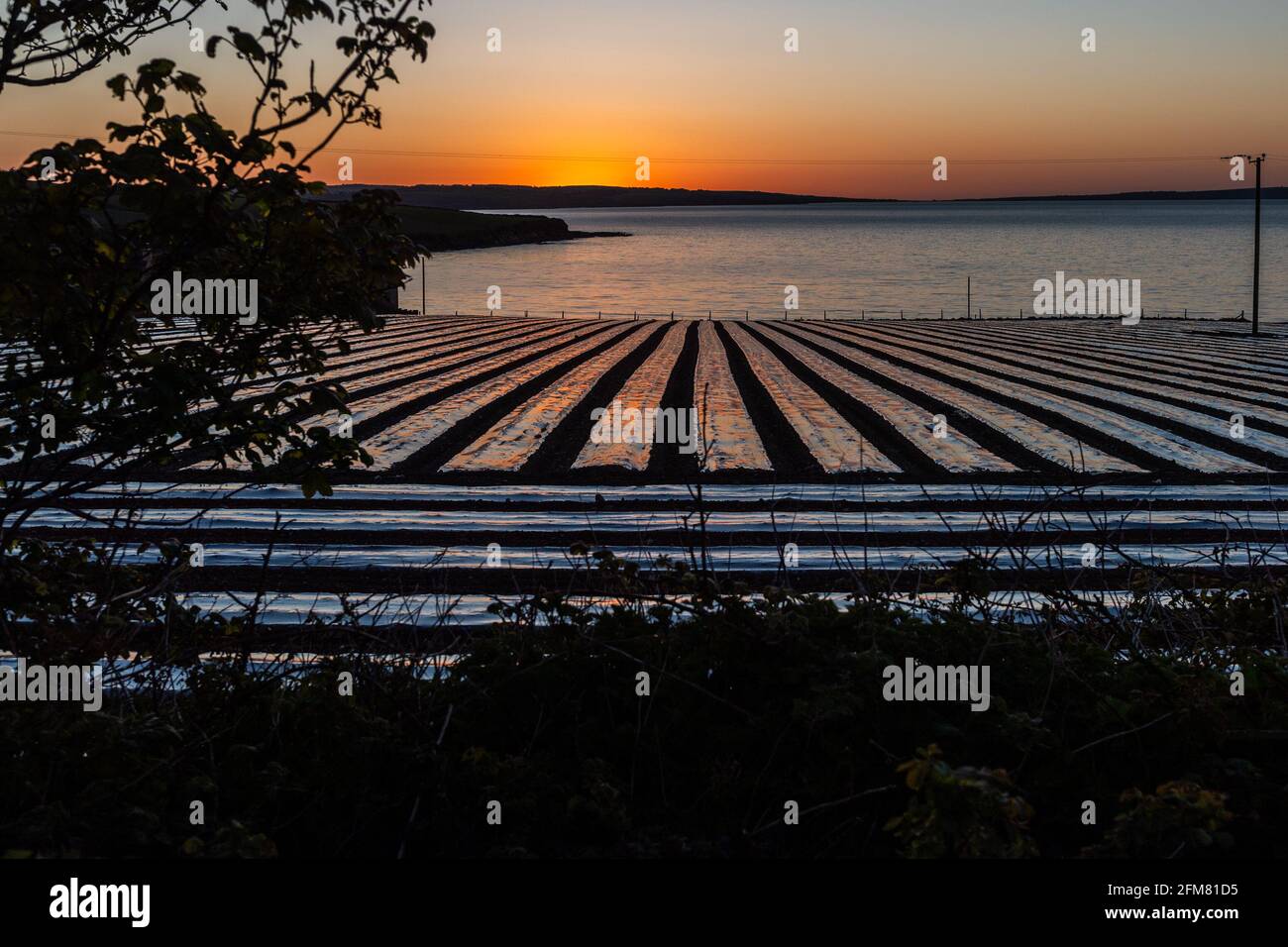 Pieta house ireland hires stock photography and images Alamy