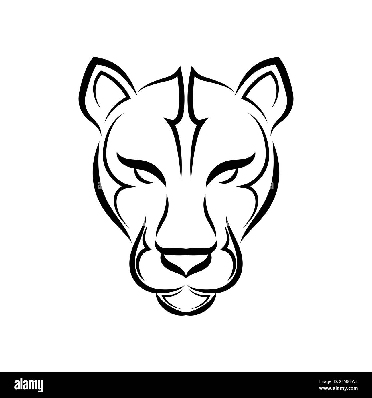 Black and white line art of cougar head. Good use for symbol, mascot, icon,  avatar, tattoo, T Shirt design, logo or any design you want Stock Vector  Image & Art - Alamy