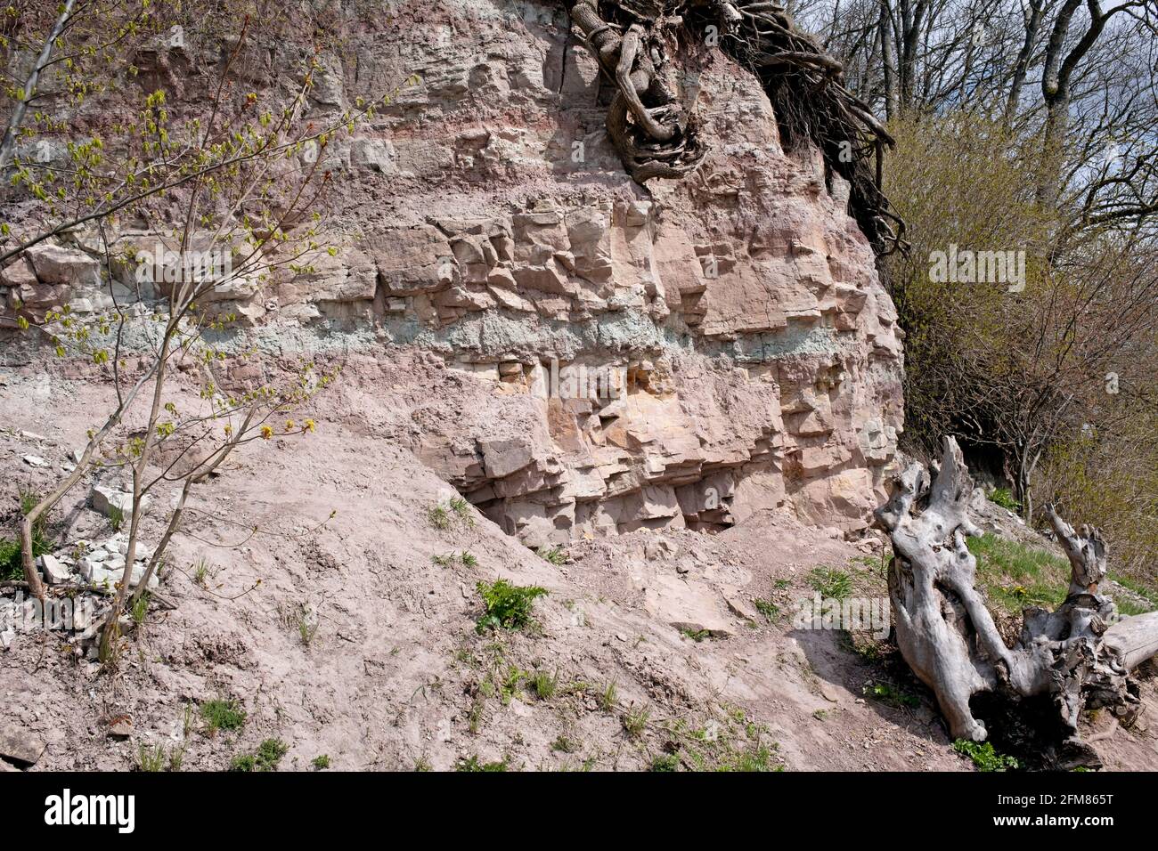 Dolomite rock outcrop at Daugava river in Lielvarde Park Latvia Stock Photo