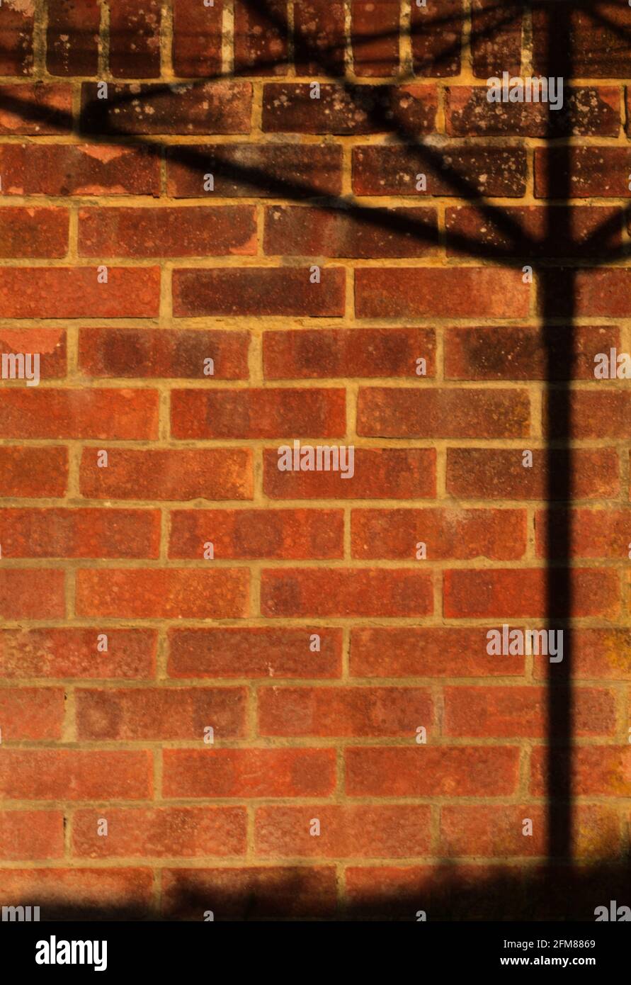 clothes line shadow against brick wall Stock Photo