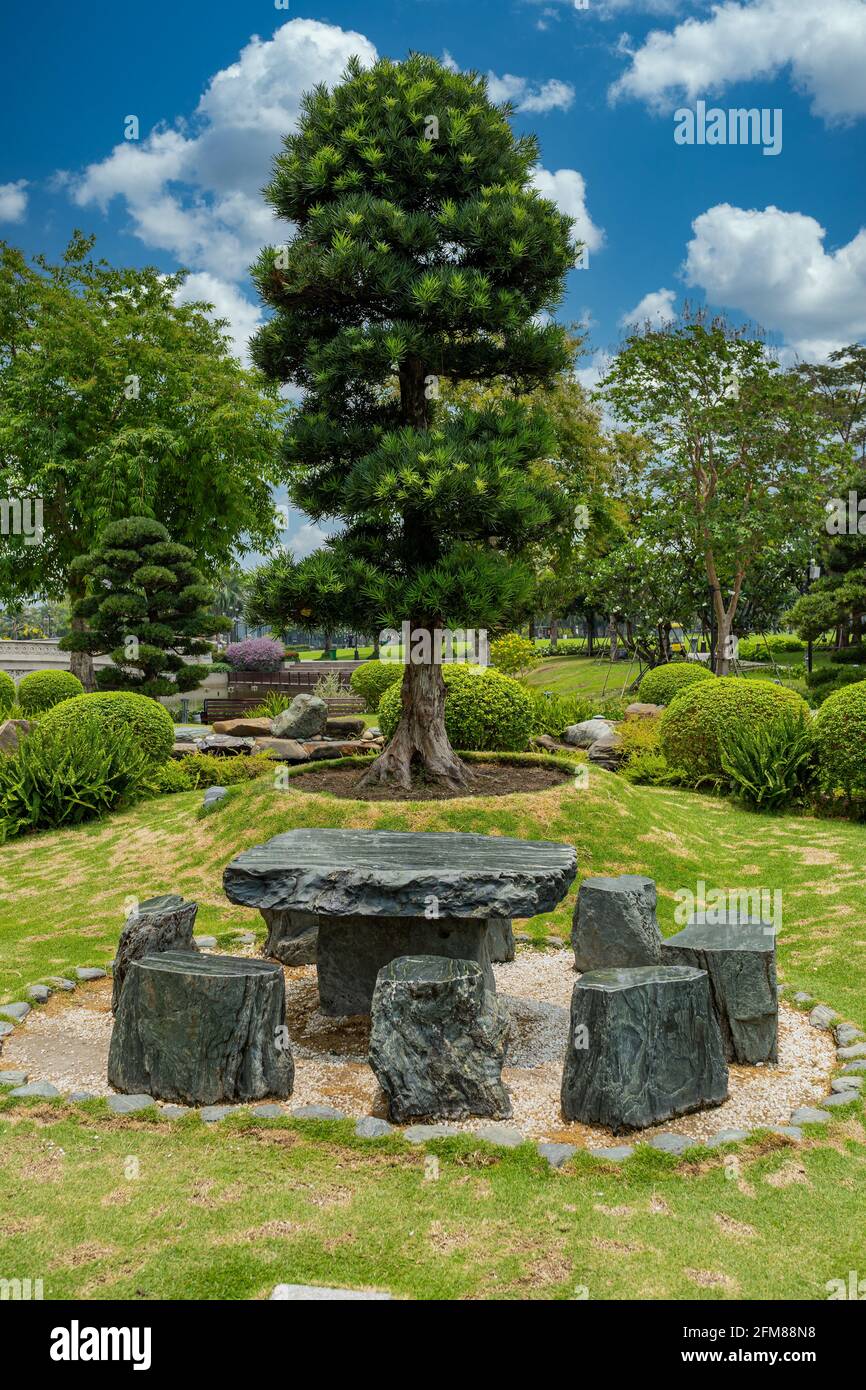 Japanese garden with yew tree bonsai and stone table and chairs Stock Photo