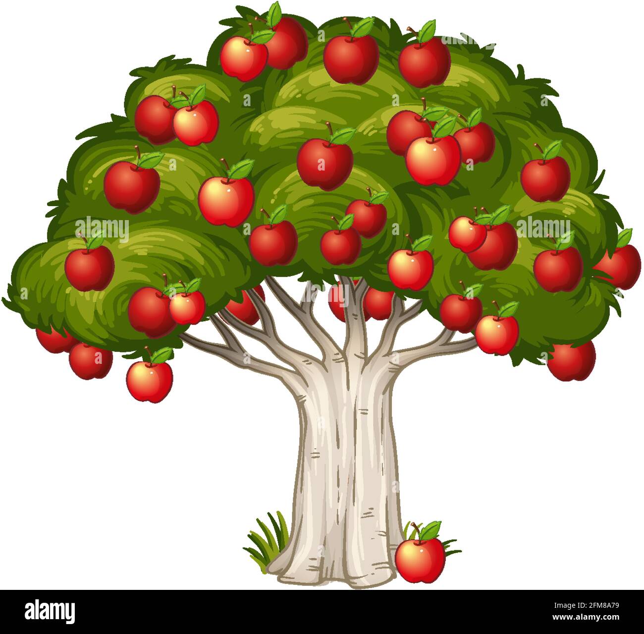 Red apples on a tree isolated on white background illustration Stock ...
