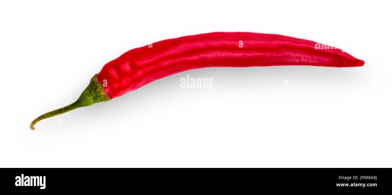 Red hot chili pepper isolated on a white background Stock Photo - Alamy