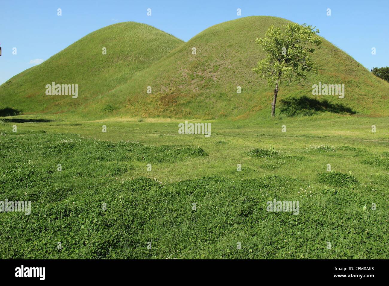 Shilla tombs in Gyeongju, South Korea Stock Photo