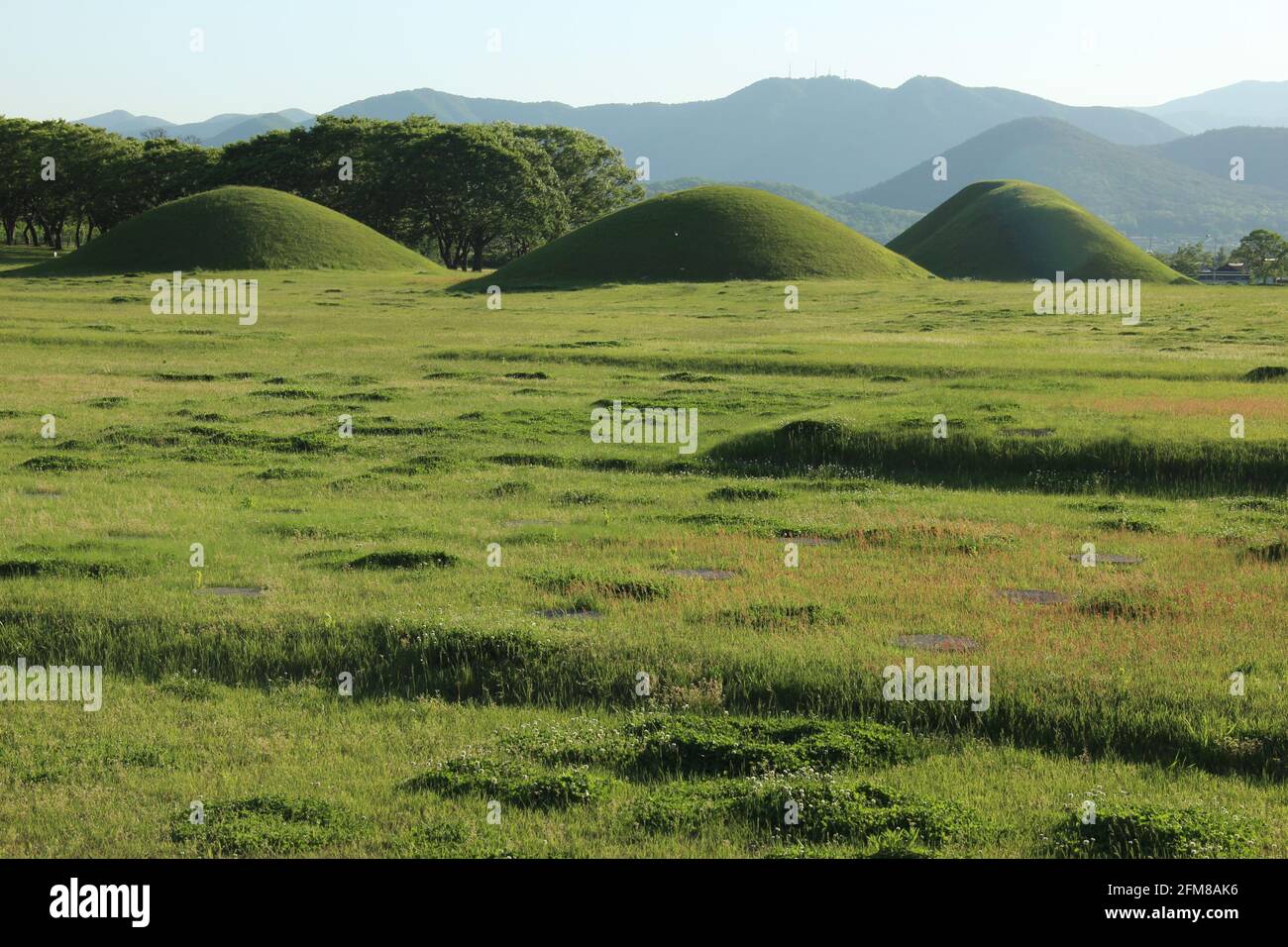 Shilla tombs in Gyeongju, South Korea Stock Photo