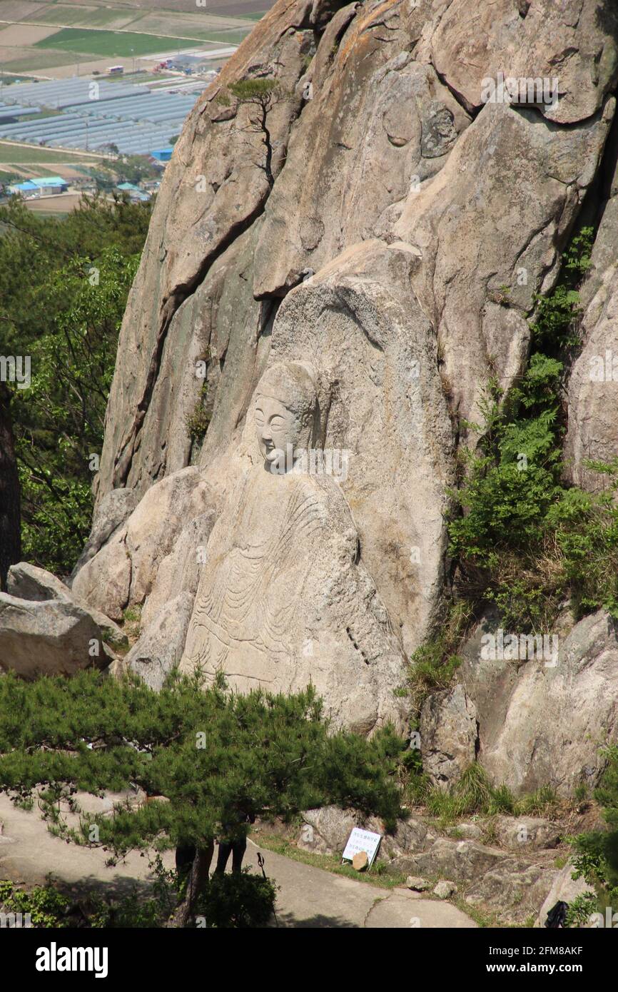 Large buddha relief carved into stone on Namsan near Gyeongju in South Korea Stock Photo