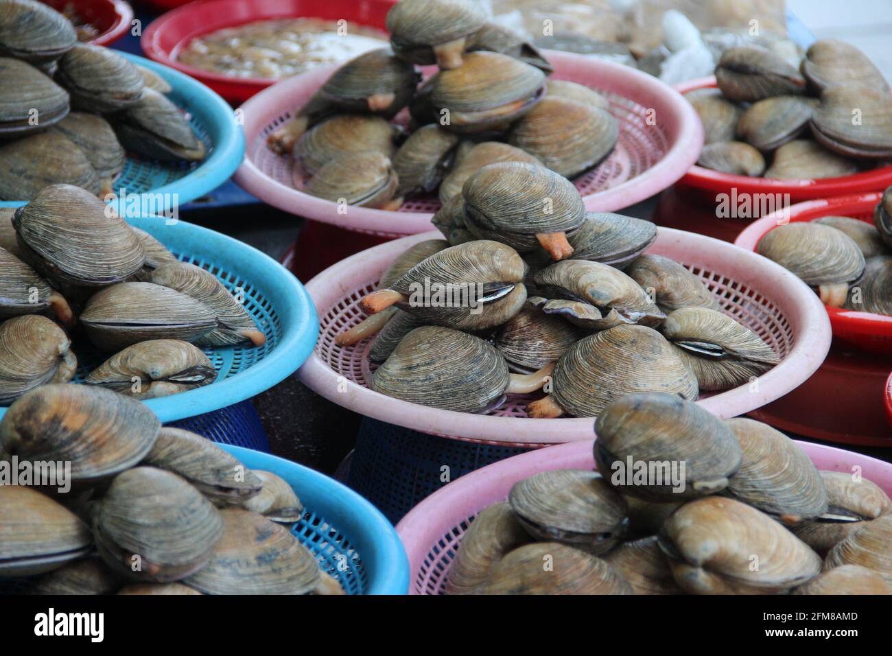 Baskets of clams for sale at a seafood market in Busan, South Korea