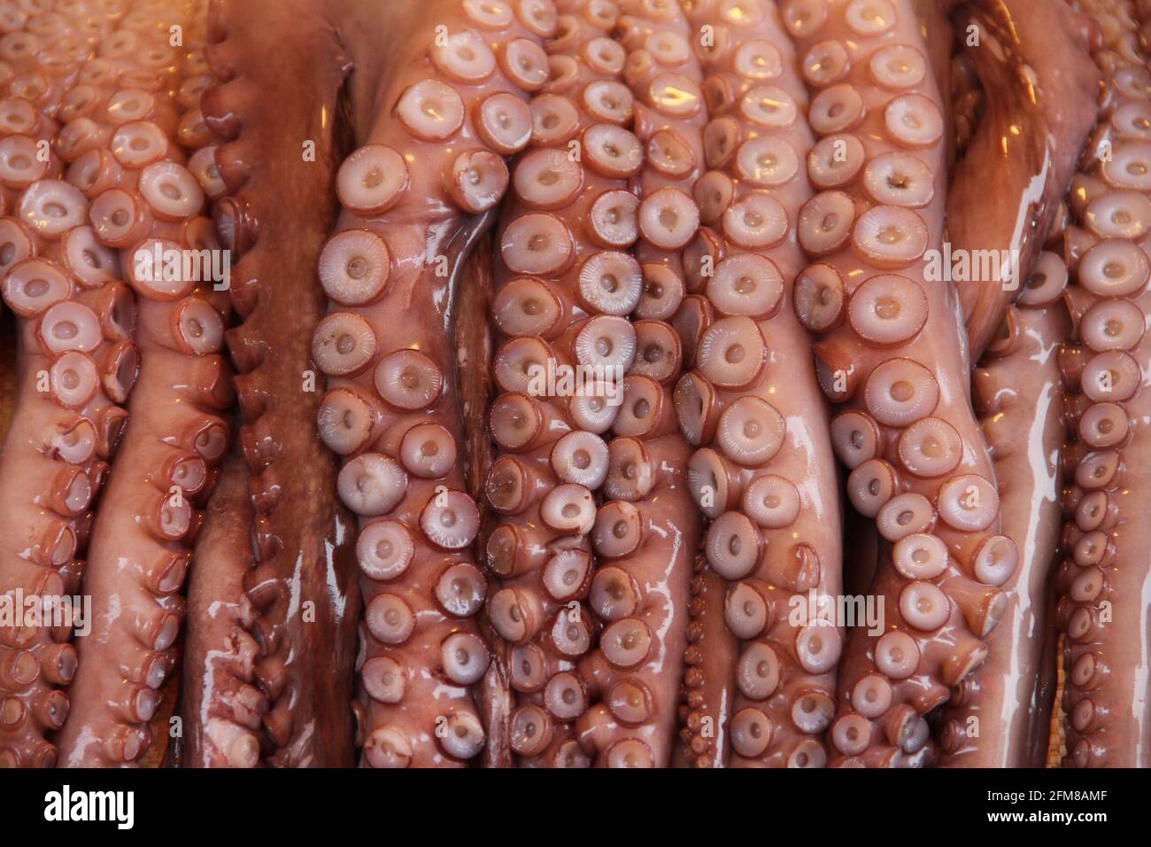 Octopus arms and suckers hang on display at a seafood market in Busan, South Korea Stock Photo