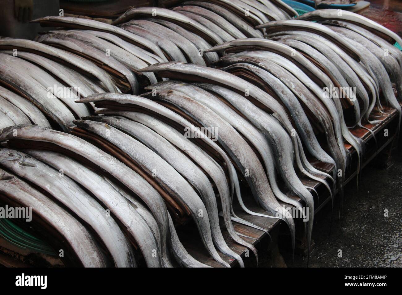 Fish on display in a seafood market in Busan, South Korea Stock Photo