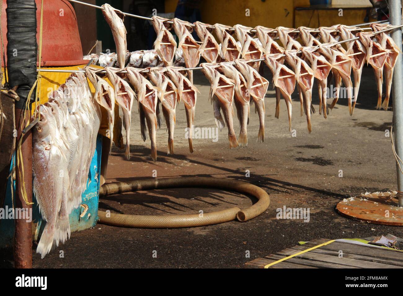 Fish hanging to dry at a seafood market in Busan, South Korea Stock Photo