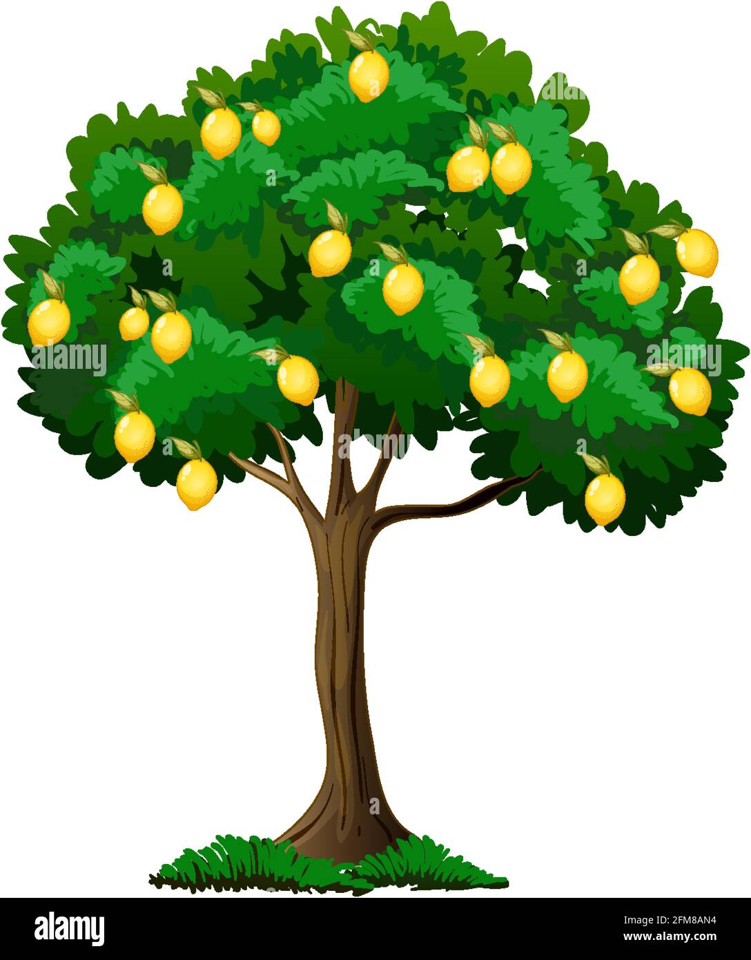 Lemon tree isolated on white background illustration Stock Vector Image ...