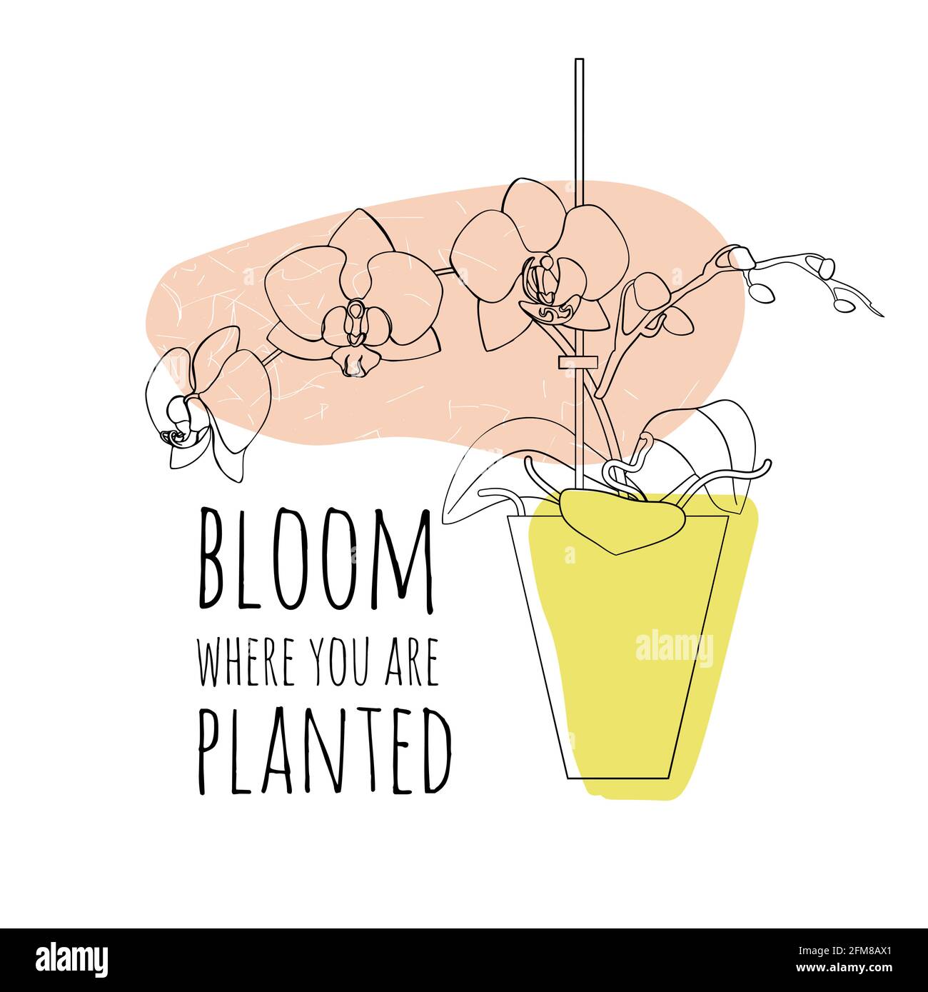 Minimalist boho illustration of quote bloom where you are planted with black line art potted house plant moth orchid and abstract shapes background Stock Vector