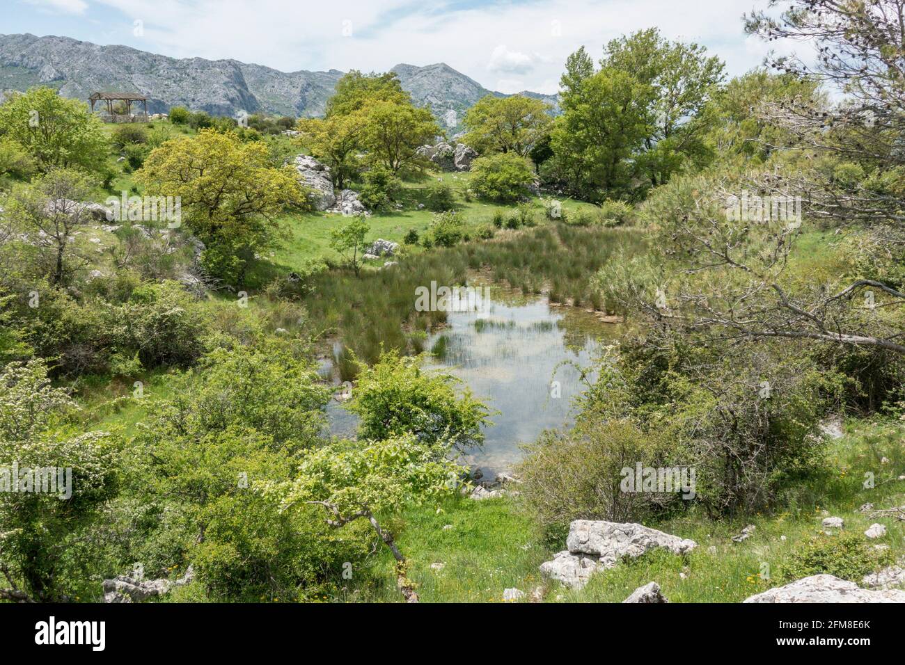 Natural pond in Sierra de Camarolos, Hondonero, Villanueva del Rosario, Andalusia, Southern Spain Stock Photo