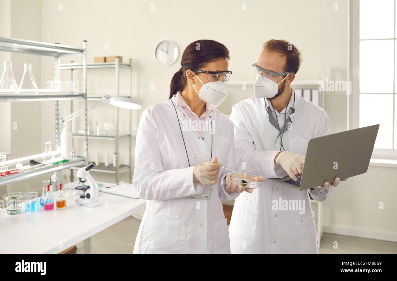 Diverse scientist in facial mask discuss test result using laptop at laboratory Stock Photo
