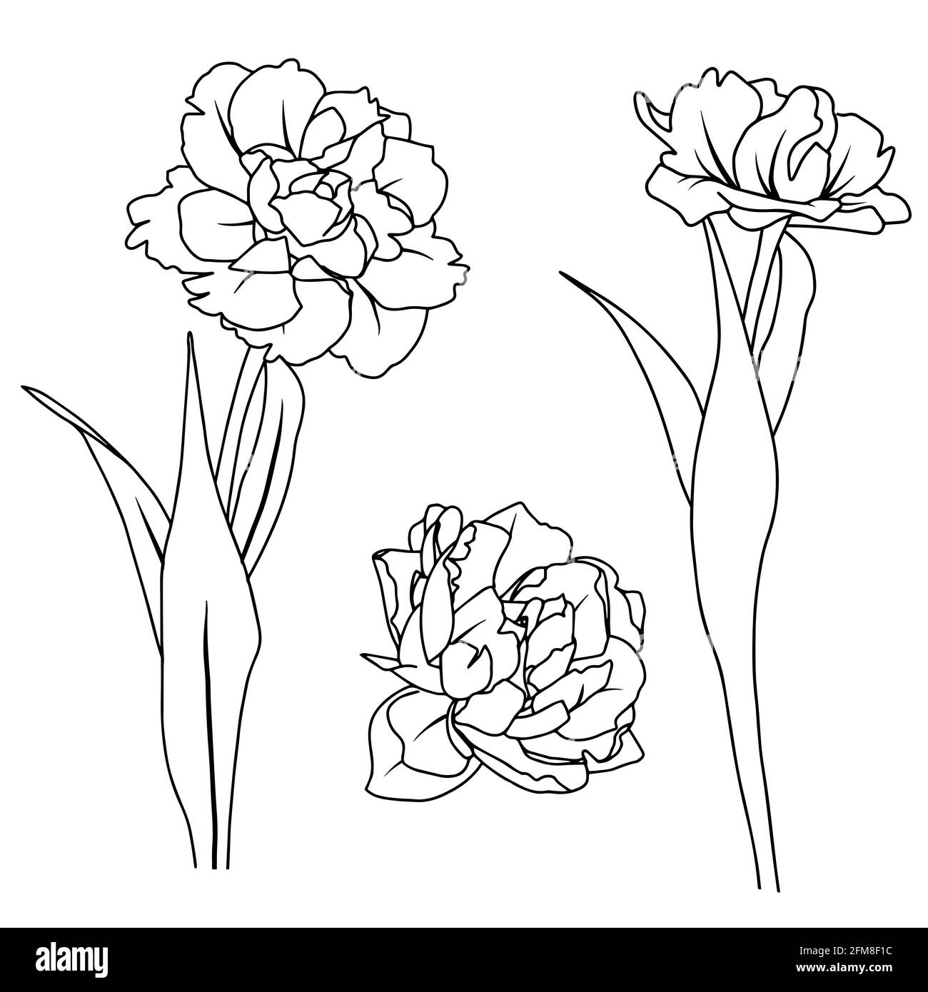 7895 Tulip Tattoo Images Stock Photos  Vectors  Shutterstock