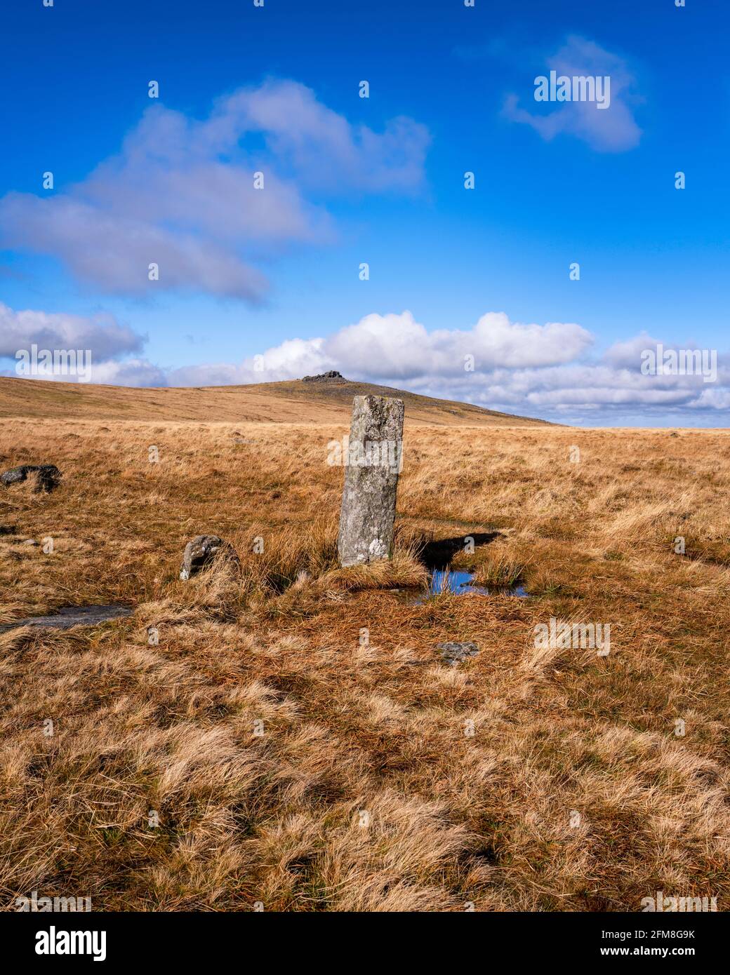 Boundary stone on lower slope of High Willhays with Yes Tor in background, Dartmoor National Park, Devon, England, UK Stock Photo