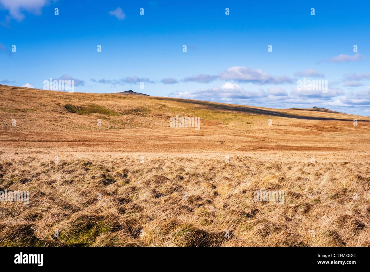 Yes Tor, left, and West Mill Tor, right, seen from the valley of the East Okement River, Dartmoor National Park, Devon, England, UK Stock Photo