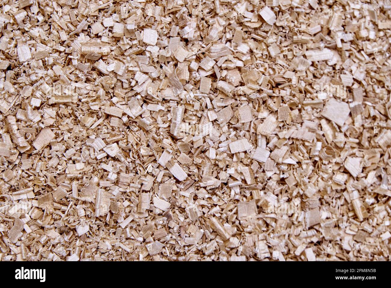 Large pile of beige birch shavings after solid wood processing for furniture production as background extreme close upper view Stock Photo