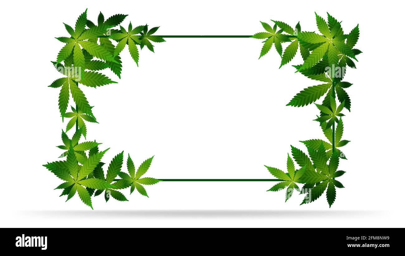Frame of green cannabis leaves. Template frame decorated with cannabis