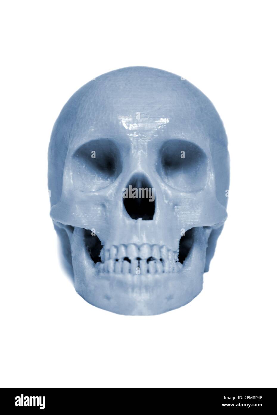 Skull printed with plastic of gray color on a 3d printer. Stock Photo