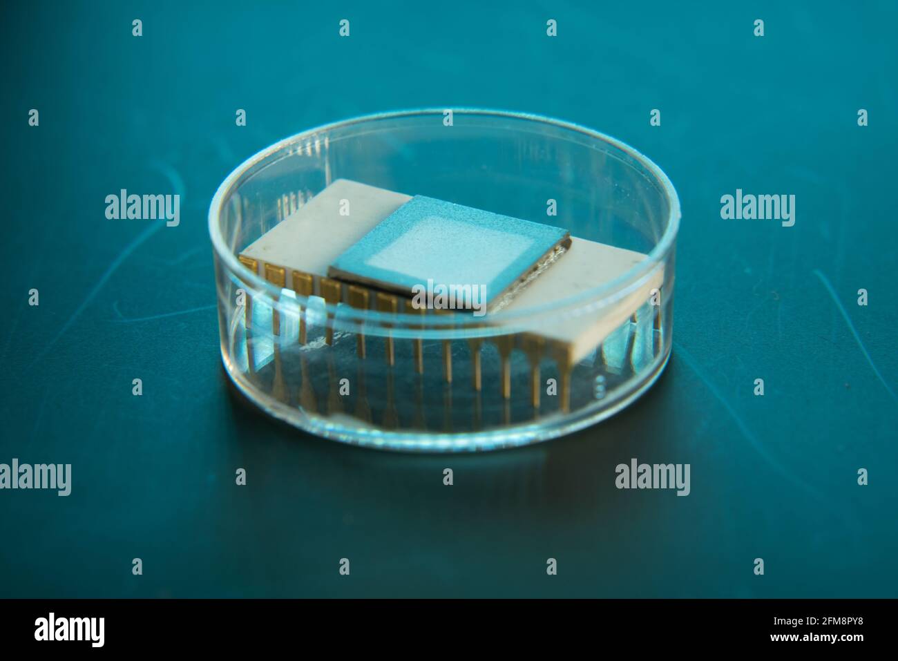 Samples of semiconductor microcircuits in the semiconductor electronics ...