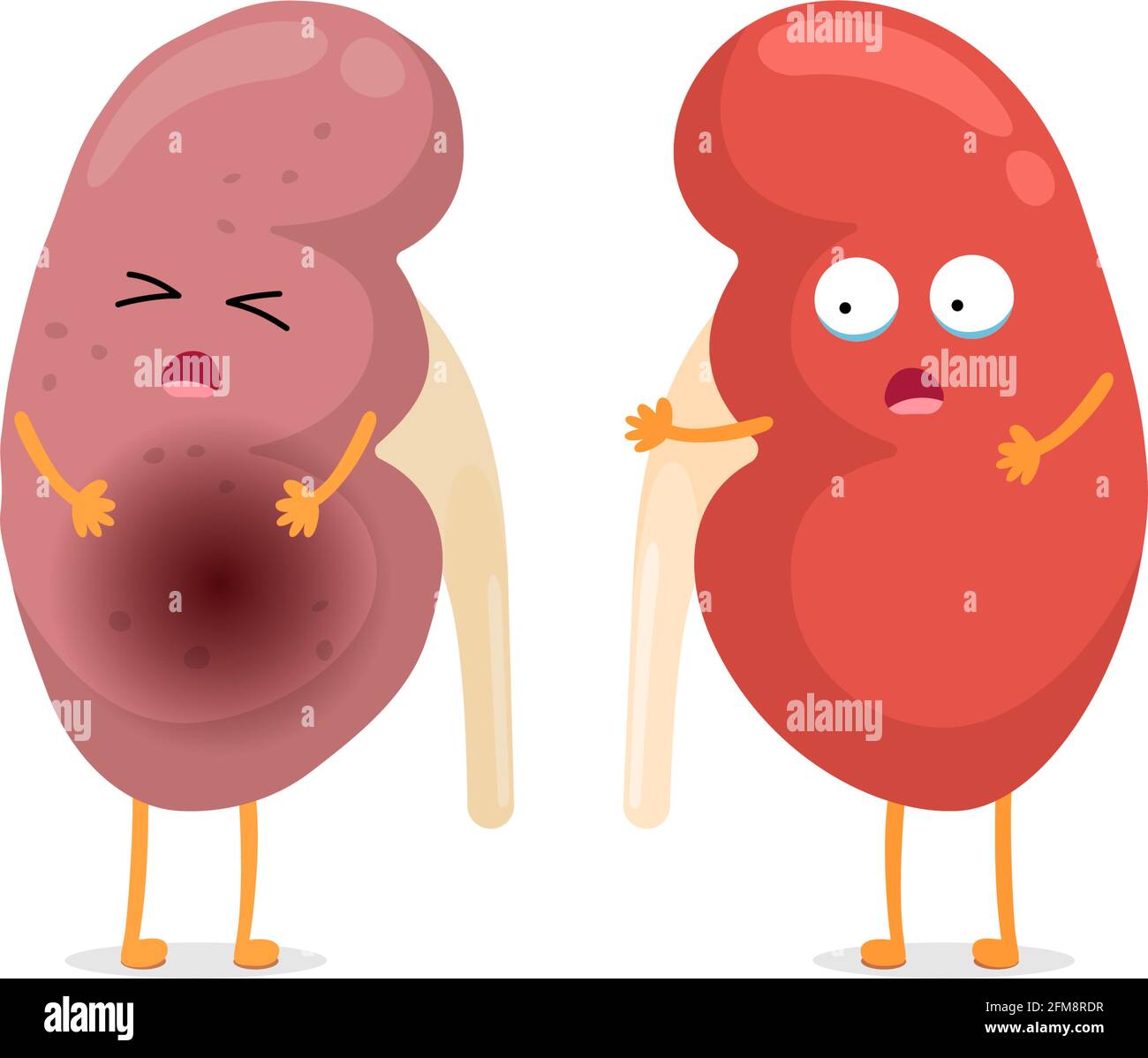 Sad suffering sick and cute healthy amazement surviving kidney characters. Human anatomy genitourinary system internal unhealthy cry and strong organ compare. Vector flat cartoon illustration Stock Vector