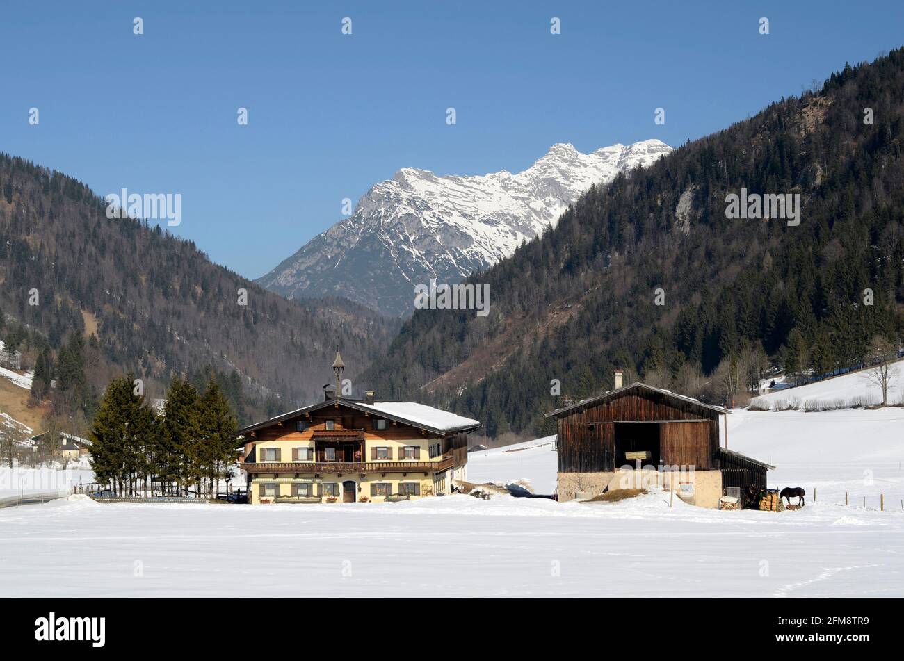 Austria, traditionall farmhouse in snowy landscape in Tyrol with mountain Loferer Steinberge behind Stock Photo