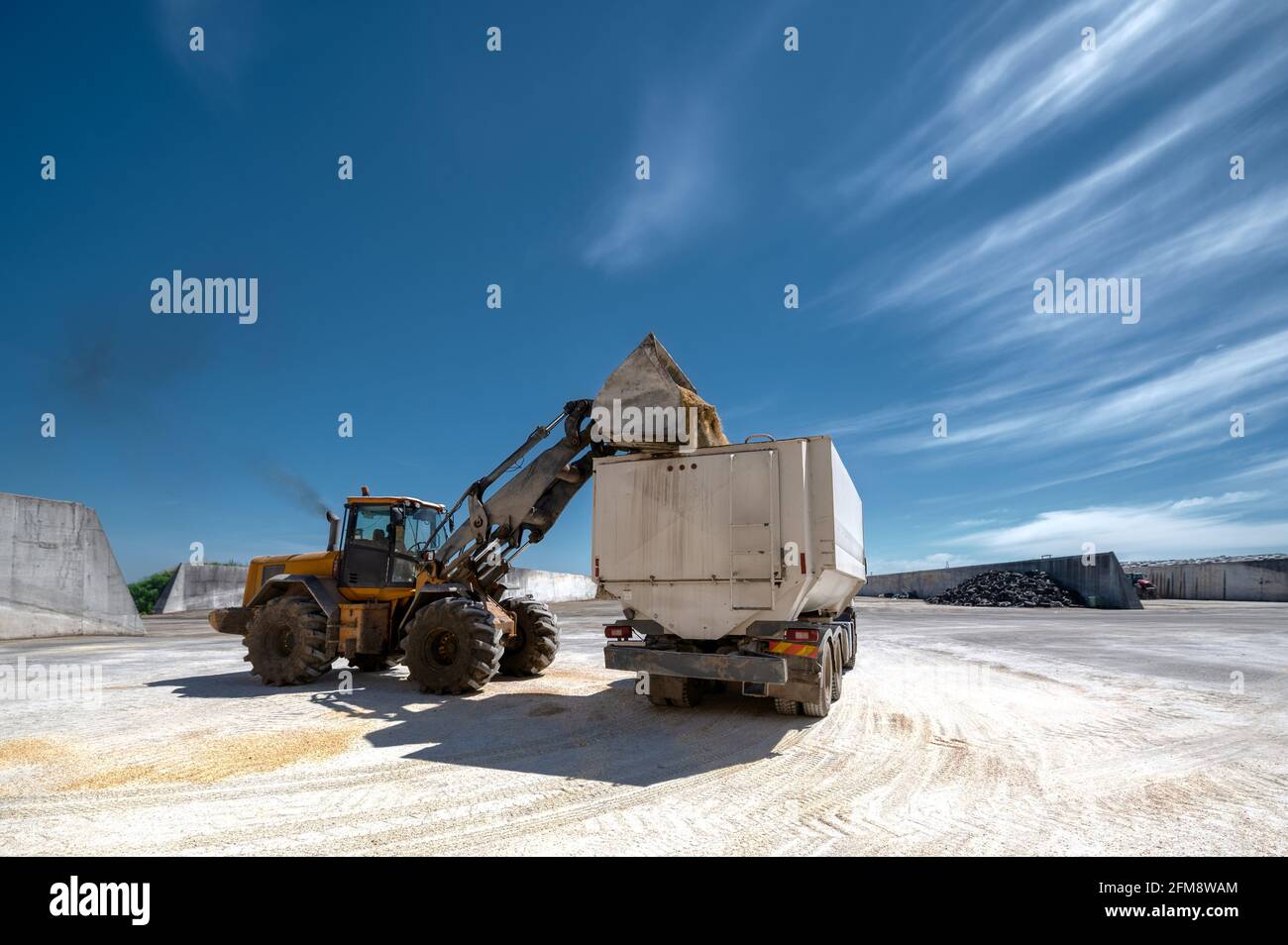 wheel bucket loader loading truck Stock Photo Alamy
