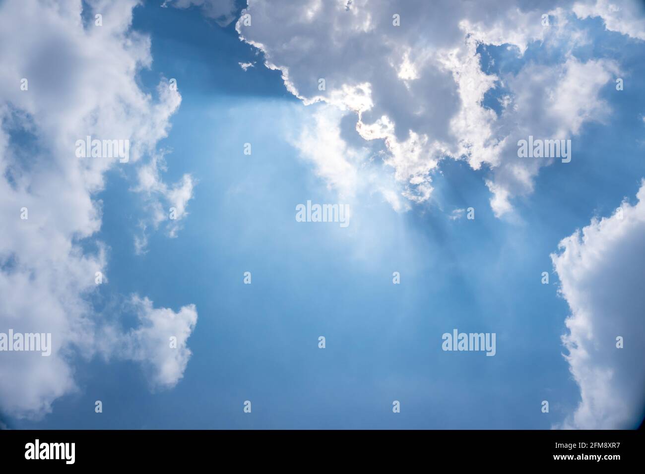 Beautiful shot sunlight shining hi-res stock photography and images - Alamy