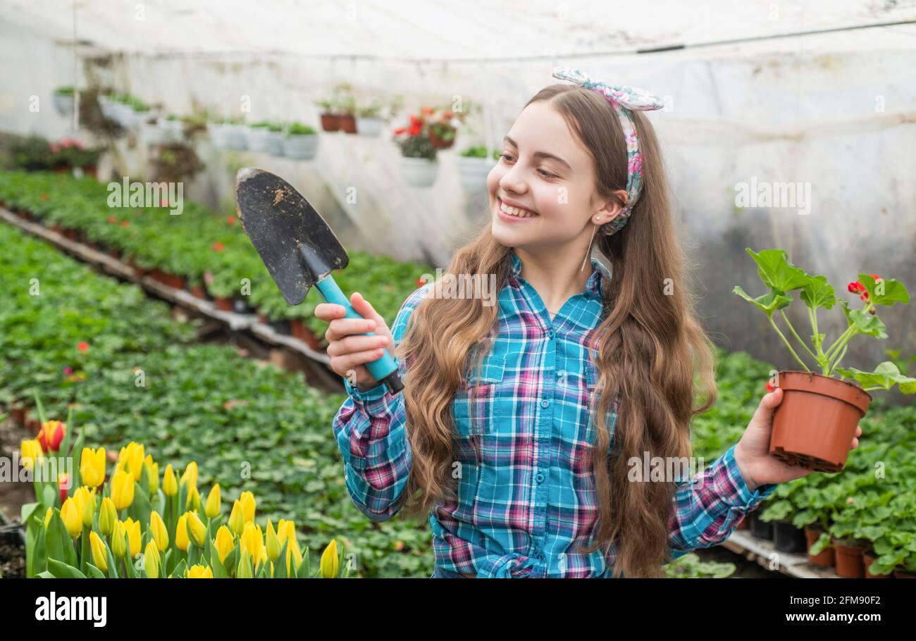 happy teen girl florist planting pot plants in greenhouse happy teen girl florist planting pot plants in greenhouse