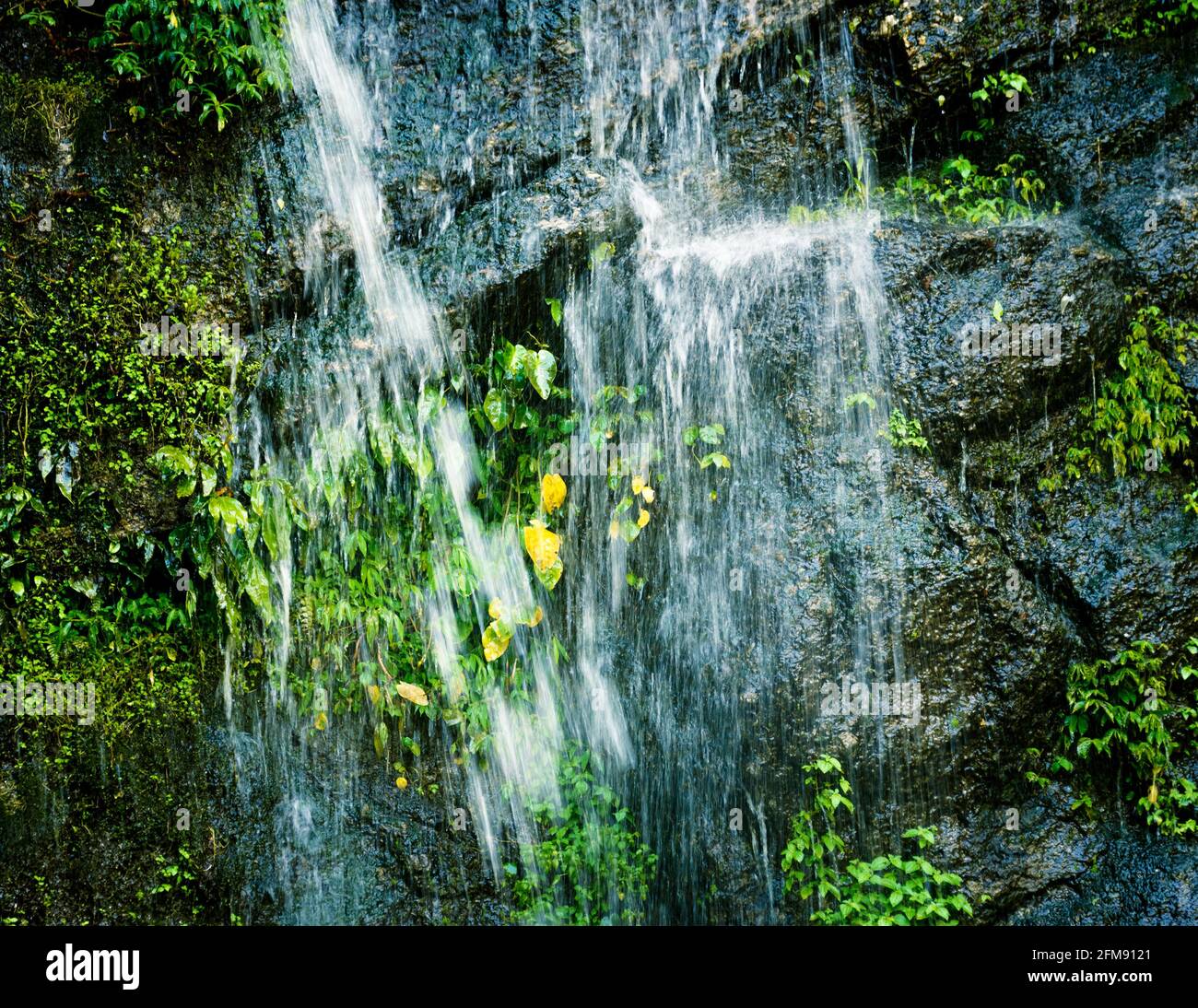 Small waterfall closeup in Nepal Stock Photo
