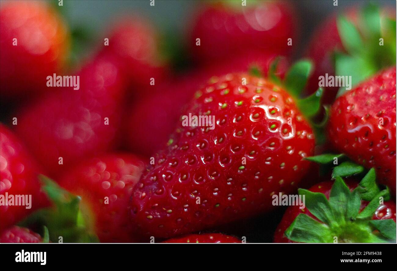 Red strawberries in the market Stock Photo