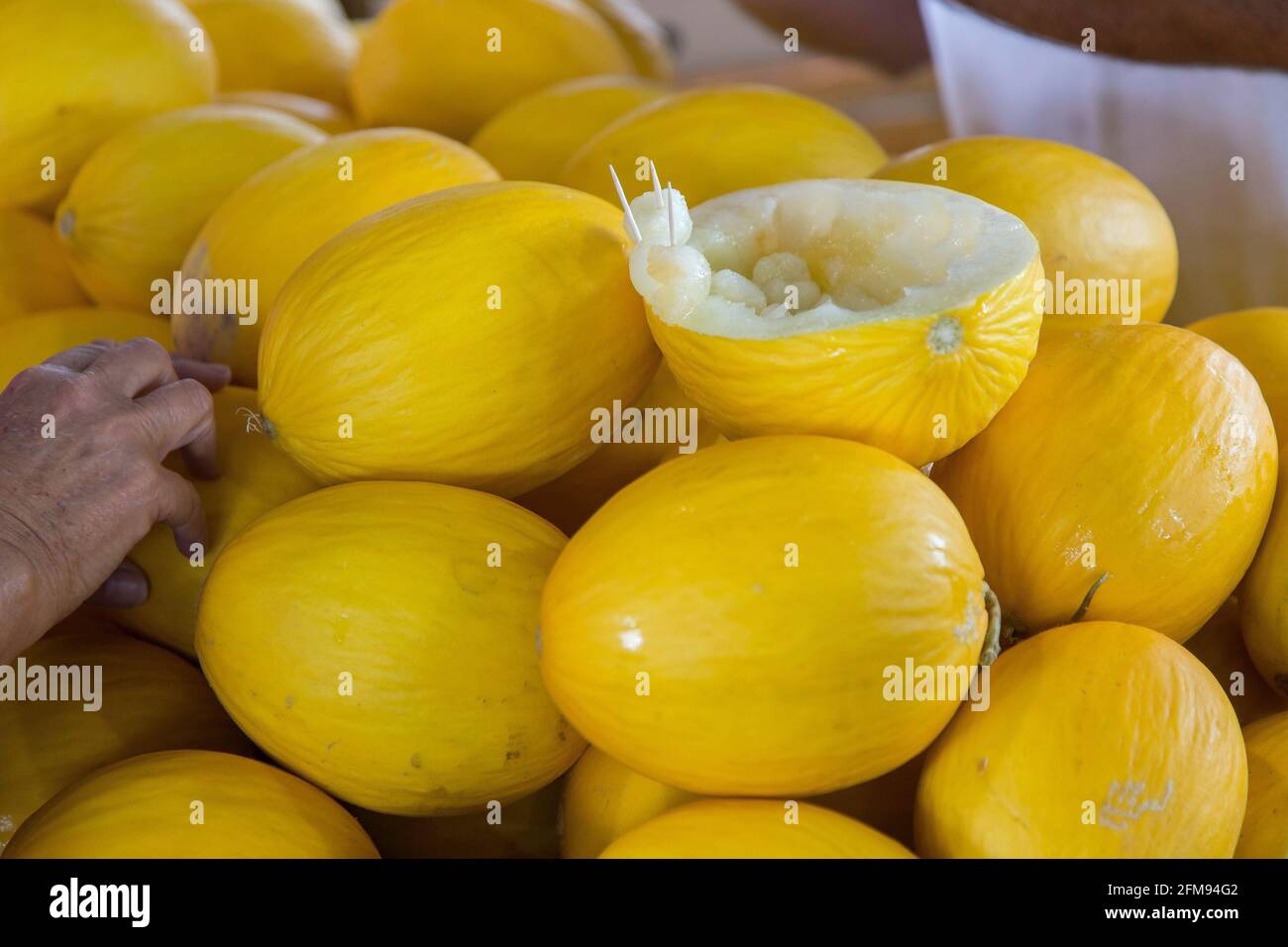 Yellow melons at the market Stock Photo