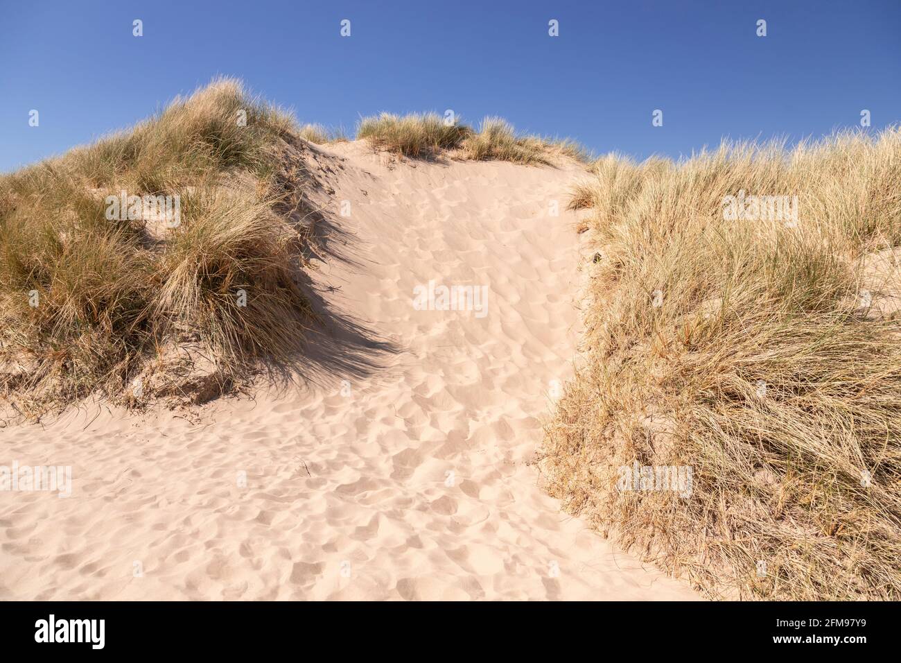 Sand dunes at Harlech beach, Gwynedd, Wales Stock Photo