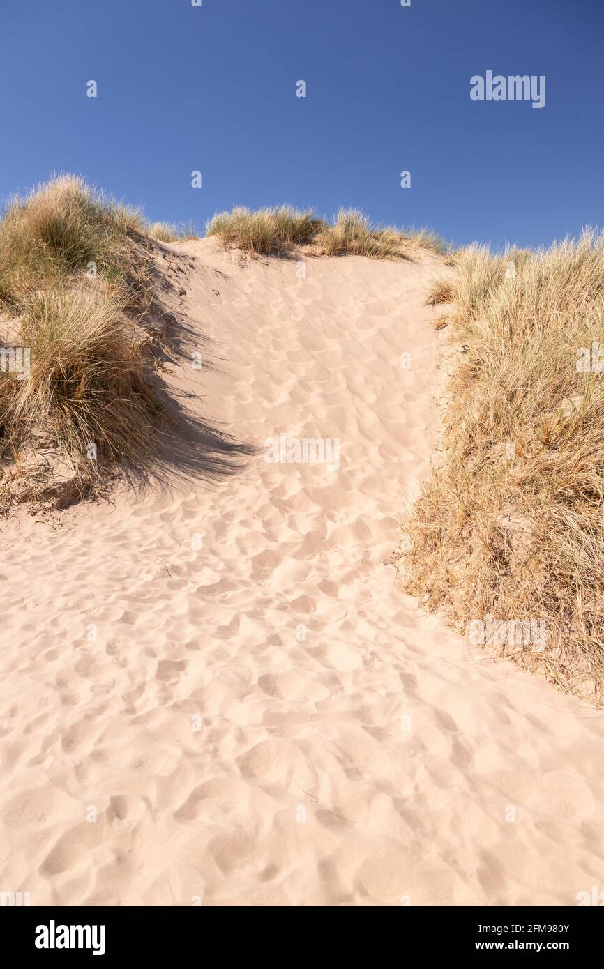 Sand dunes at Harlech beach, Gwynedd, Wales Stock Photo