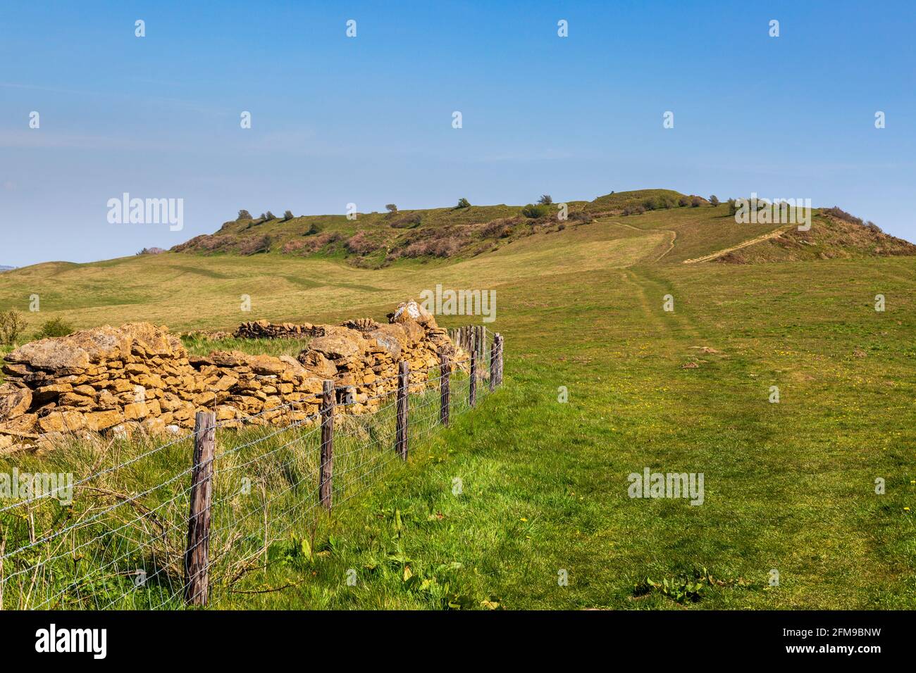 Abbotsbury castle hires stock photography and images Alamy