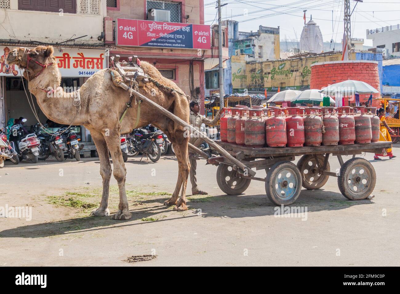 CHITTORGARH, INDIA - FEBRUARY 15, 2017: Camel pulling gas cylinders in Chittorgarh, Rajasthan state, India Stock Photo