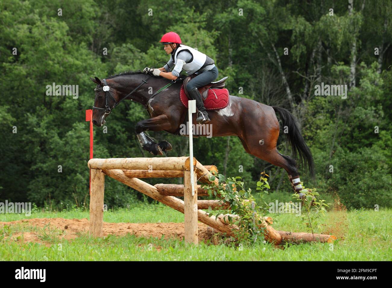 Young equestrian girl jumping obstacle with sports horse Stock Photo