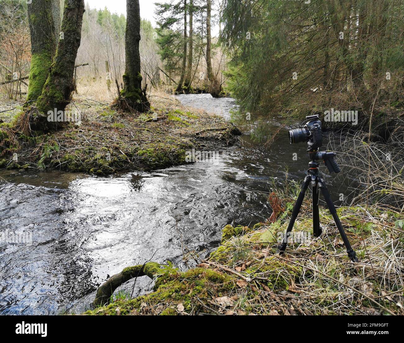 A camera tripod is standing by a river in a forest. A photo is taken, which