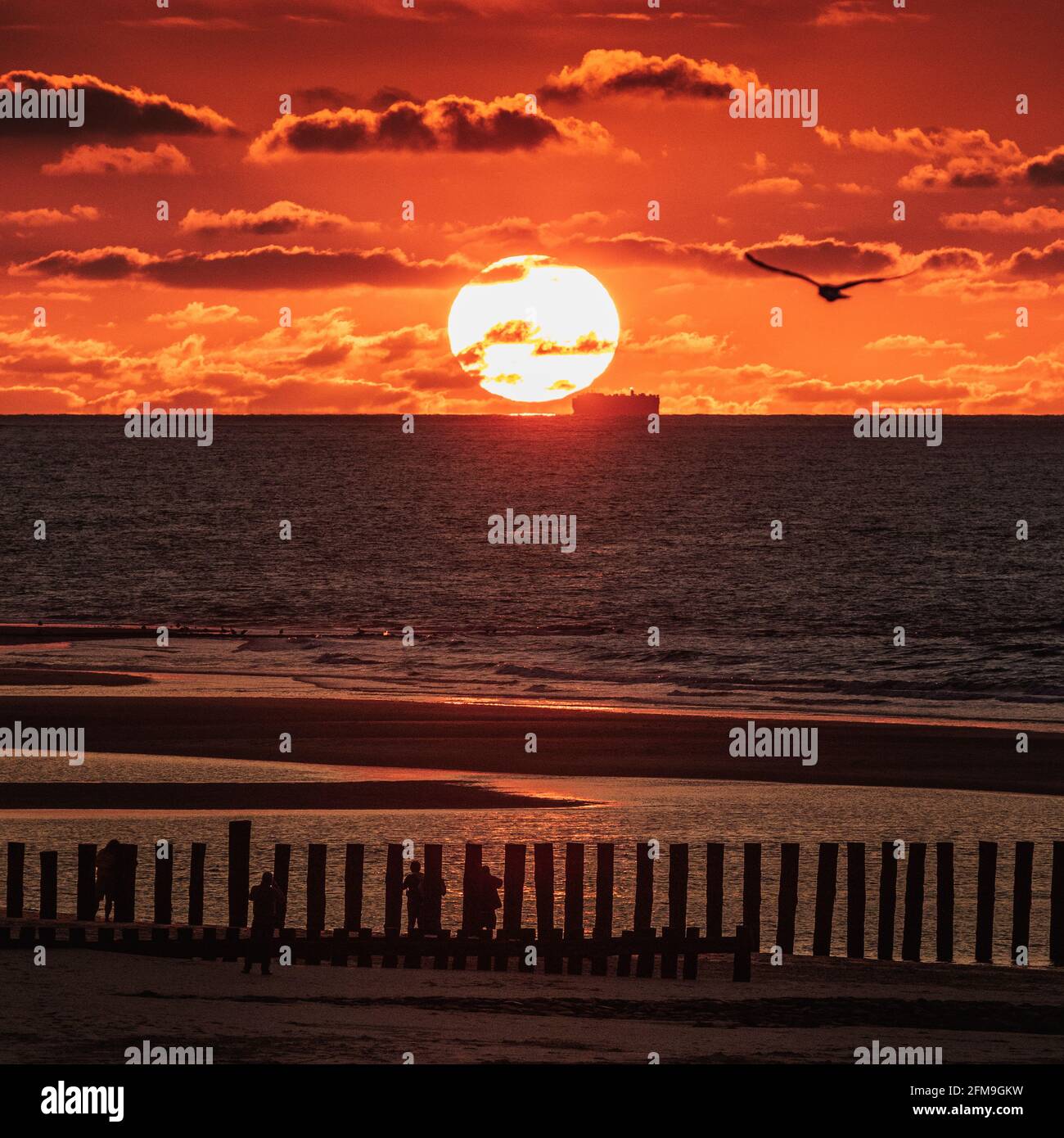 Sunset on the sandy beach, Wangerooge, North Sea island Stock Photo