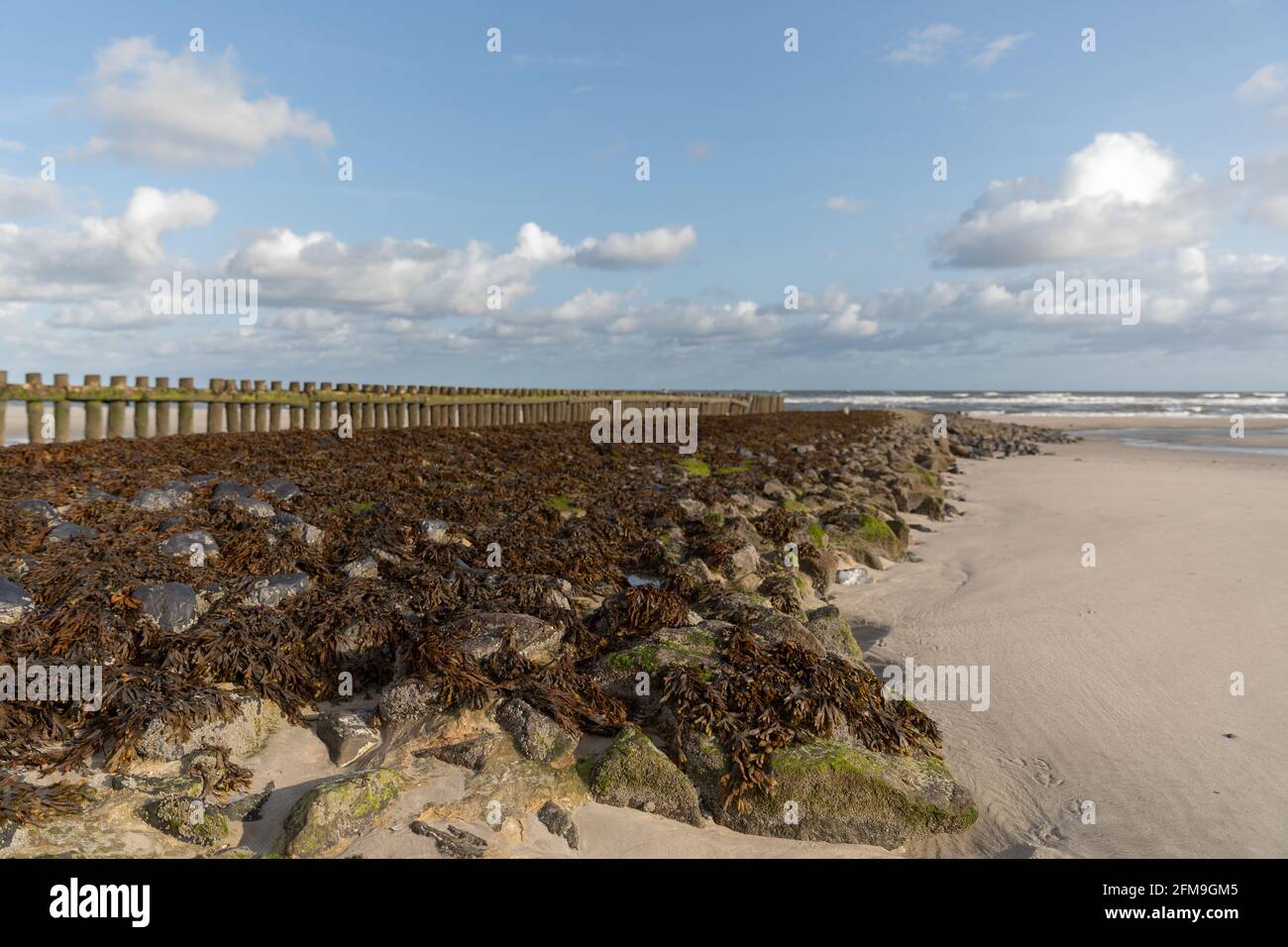Impressions on the North Sea beach of Wangerooge Stock Photo