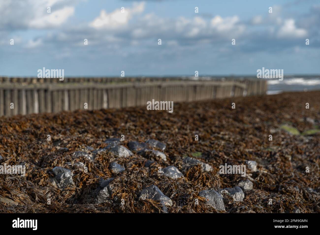 Groyne on the North Sea beach of Wangerooge Stock Photo