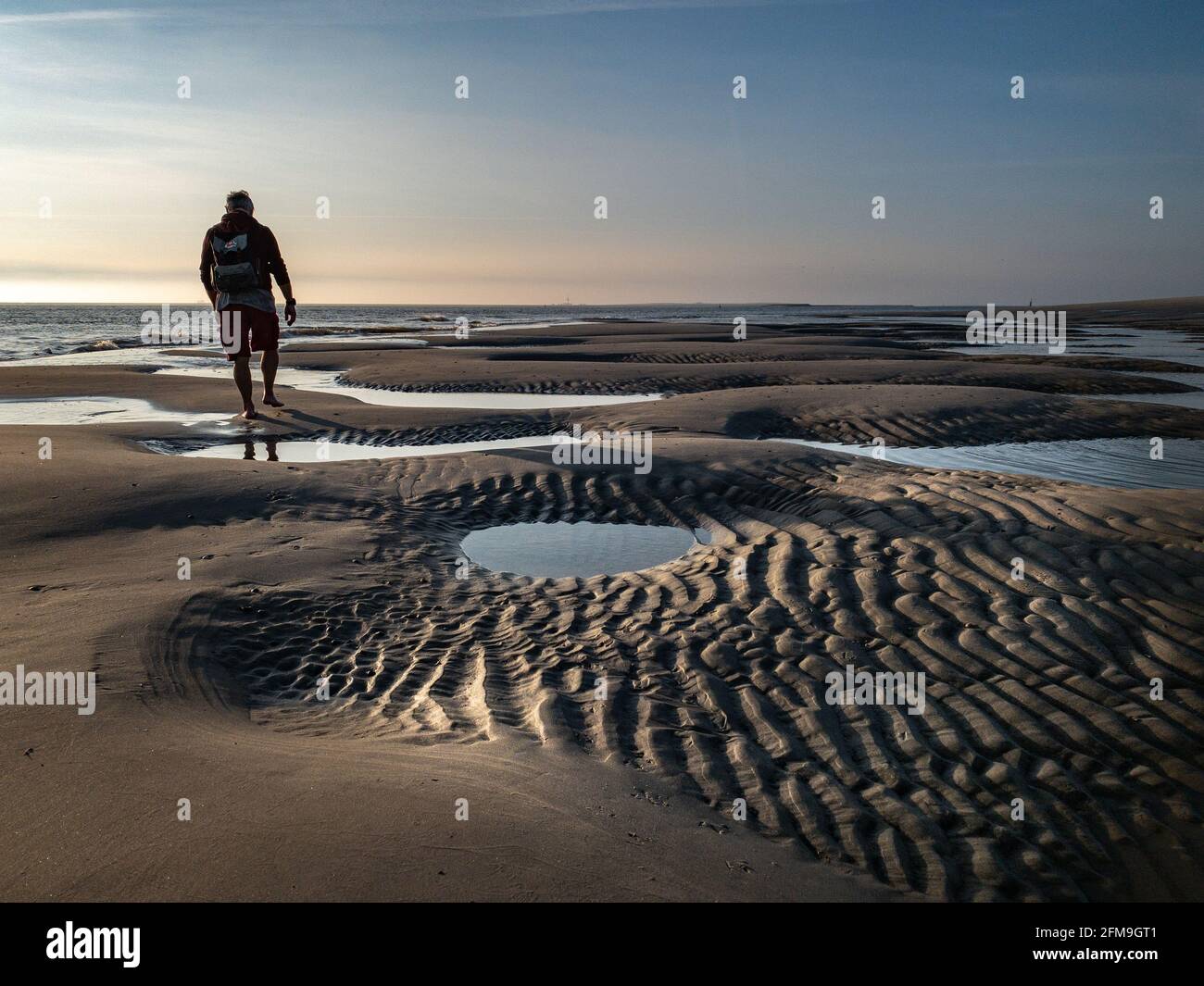 Man walks at low tide on the North Sea beach Wangerooges between tidal creeks at sunrise Stock Photo
